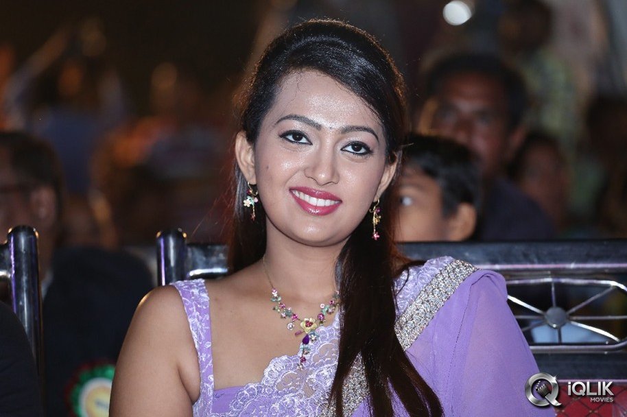 Bheemavaram-Bullodu-Platinum-Disc-Function